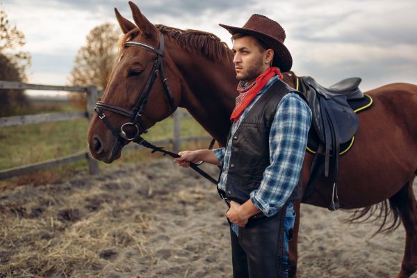 Ion şi Măria se mută în Texas. Ion își cumpără cizme de cowboy: Observi ceva diferit la mine?