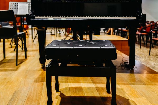 Doi olteni întârzie la un concert de pian